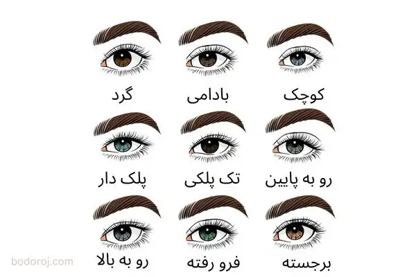 آموزش گام به گام سایه زدن چشم با رنگ‌های طبیعی