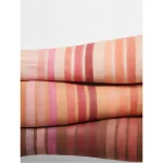 رنگ بندی پالت رژ گونه شیگلم سه رنگ Private Cabana