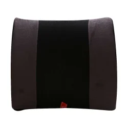 پشتی طبی صندلی Halley